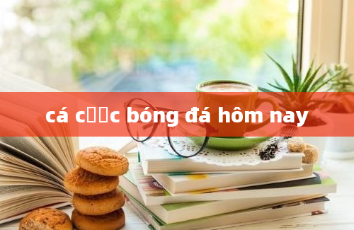 cá cược bóng đá hôm nay