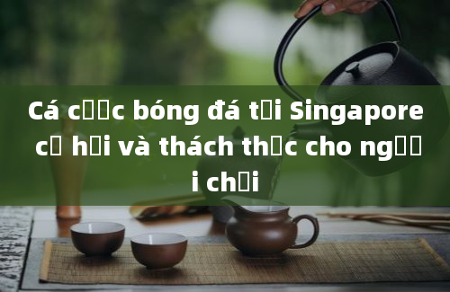 Cá cược bóng đá tại Singapore cơ hội và thách thức cho người chơi