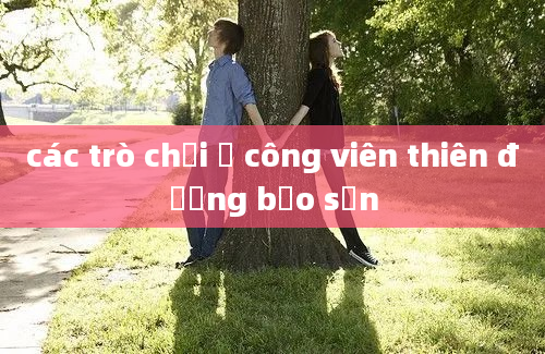 các trò chơi ở công viên thiên đường bảo sơn