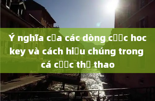 Ý nghĩa của các dòng cược hockey và cách hiểu chúng trong cá cược thể thao