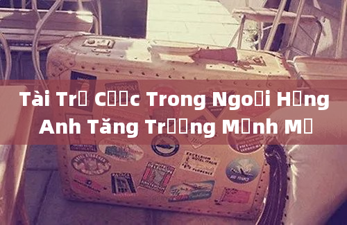 Tài Trợ Cược Trong Ngoại Hạng Anh Tăng Trưởng Mạnh Mẽ