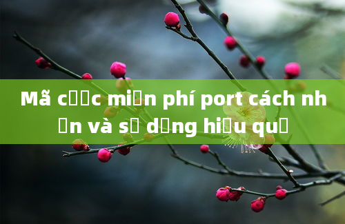 Mã cược miễn phí port cách nhận và sử dụng hiệu quả