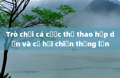 Trò chơi cá cược thể thao hấp dẫn và cơ hội chiến thắng lớn