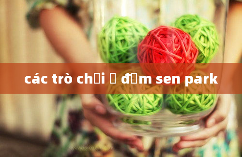 các trò chơi ở đầm sen park