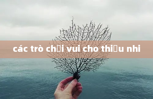 các trò chơi vui cho thiếu nhi