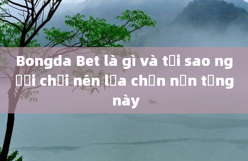 Bongda Bet là gì và tại sao người chơi nên lựa chọn nền tảng này