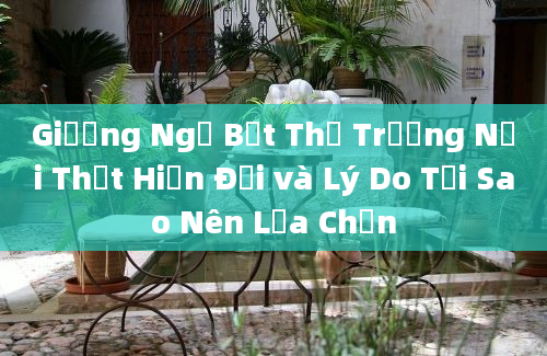 Giường Ngủ Bệt Thị Trường Nội Thất Hiện Đại và Lý Do Tại Sao Nên Lựa Chọn