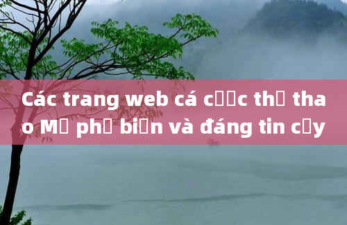 Các trang web cá cược thể thao Mỹ phổ biến và đáng tin cậy