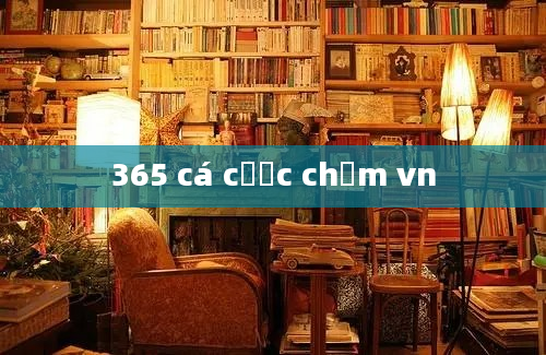 365 cá cược chấm vn