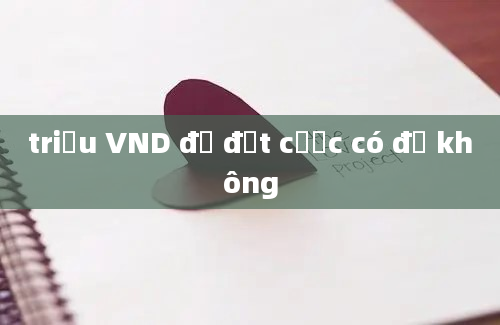 triệu VND để đặt cược có đủ không