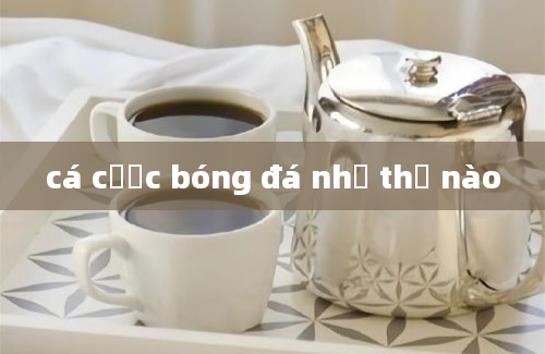 cá cược bóng đá như thế nào