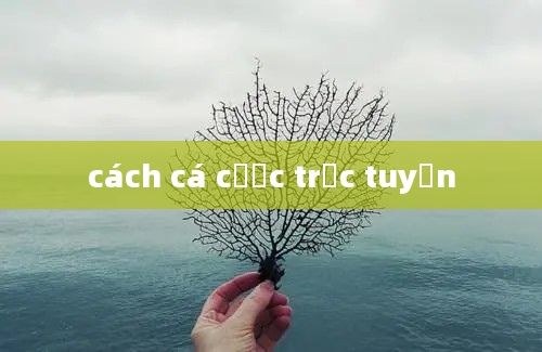 cách cá cược trực tuyến