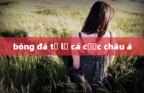 bóng đá tỷ lệ cá cược châu á