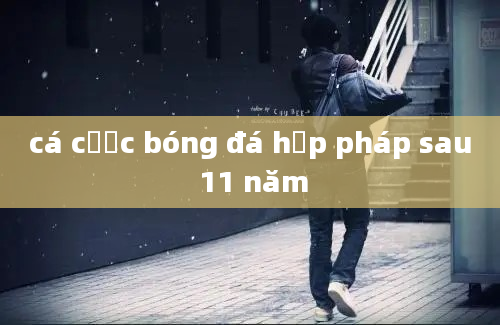 cá cược bóng đá hợp pháp sau 11 năm