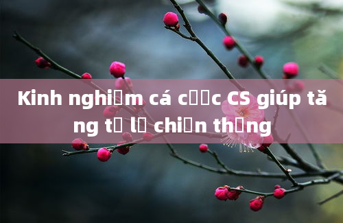 Kinh nghiệm cá cược CS giúp tăng tỷ lệ chiến thắng