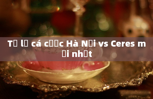 Tỷ lệ cá cược Hà Nội vs Ceres mới nhất