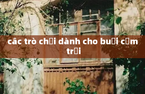 câc trò chơi dành cho buổi cắm trại