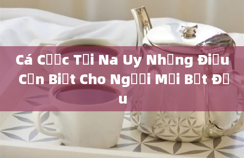 Cá Cược Tại Na Uy Những Điều Cần Biết Cho Người Mới Bắt Đầu