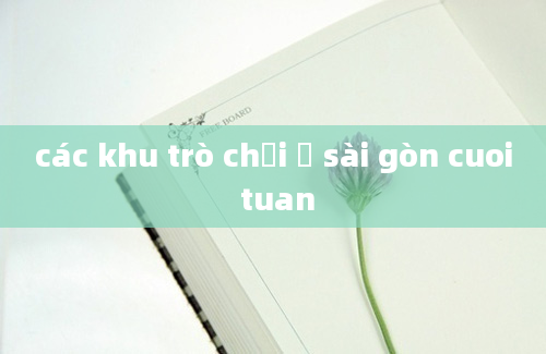 các khu trò chơi ở sài gòn cuoi tuan