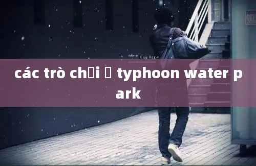 các trò chơi ở typhoon water park