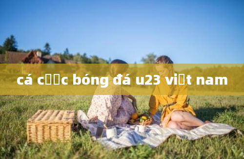 cá cược bóng đá u23 việt nam