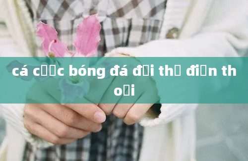 cá cược bóng đá đổi thẻ điện thoại