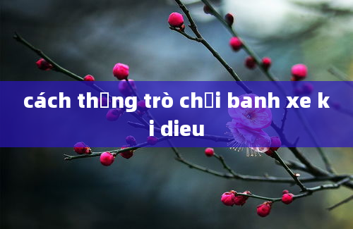 cách thắng trò chơi banh xe ki dieu