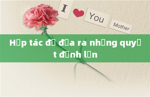 Hợp tác để đưa ra những quyết định lớn