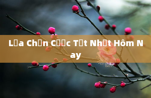 Lựa Chọn Cược Tốt Nhất Hôm Nay