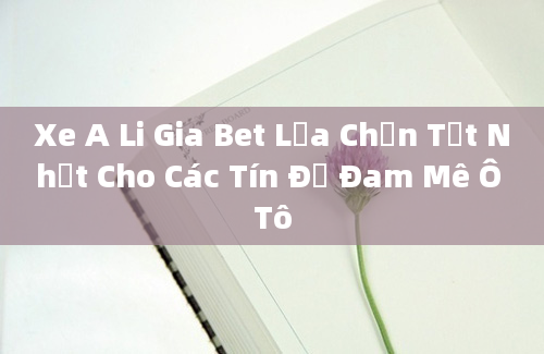 Xe A Li Gia Bet Lựa Chọn Tốt Nhất Cho Các Tín Đồ Đam Mê Ô Tô