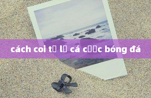 cách coi tỷ lệ cá cược bóng đá