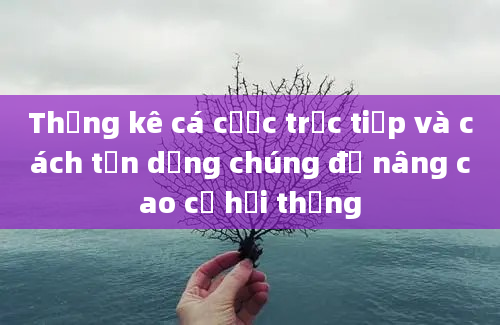 Thống kê cá cược trực tiếp và cách tận dụng chúng để nâng cao cơ hội thắng