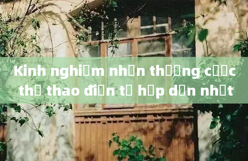 Kinh nghiệm nhận thưởng cược thể thao điện tử hấp dẫn nhất