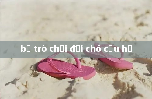 bộ trò chơi đội chó cứu hộ