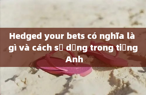 Hedged your bets có nghĩa là gì và cách sử dụng trong tiếng Anh