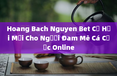 Hoang Bach Nguyen Bet Cơ Hội Mới Cho Người Đam Mê Cá Cược Online