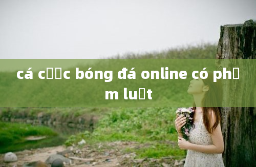 cá cược bóng đá online có phạm luật