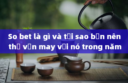 So bet là gì và tại sao bạn nên thử vận may với nó trong năm