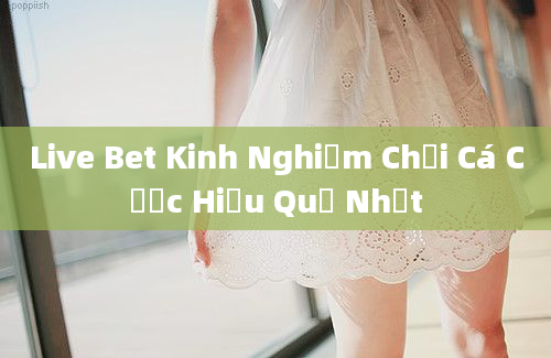 Live Bet Kinh Nghiệm Chơi Cá Cược Hiệu Quả Nhất