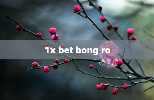 1x bet bong ro