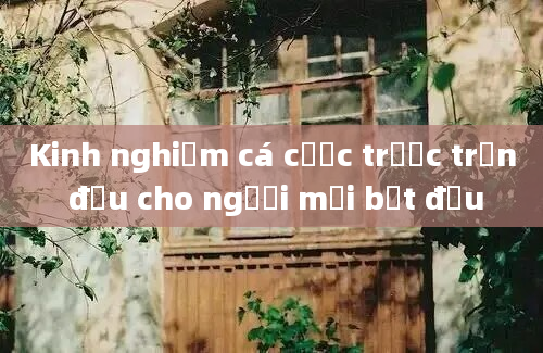 Kinh nghiệm cá cược trước trận đấu cho người mới bắt đầu