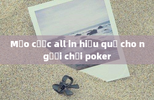 Mẹo cược all in hiệu quả cho người chơi poker