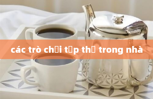 các trò chơi tập thể trong nhà