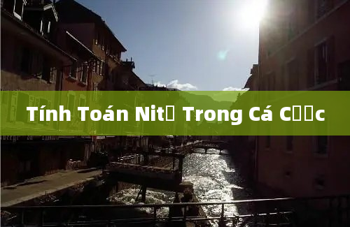 Tính Toán Nitơ Trong Cá Cược