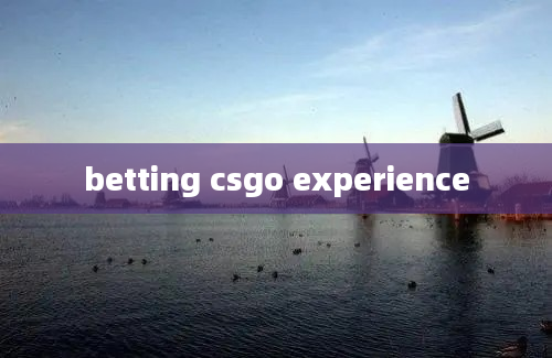 betting csgo experience