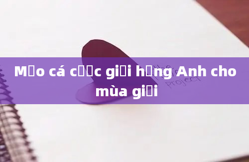 Mẹo cá cược giải hạng Anh cho mùa giải