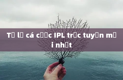 Tỷ lệ cá cược IPL trực tuyến mới nhất