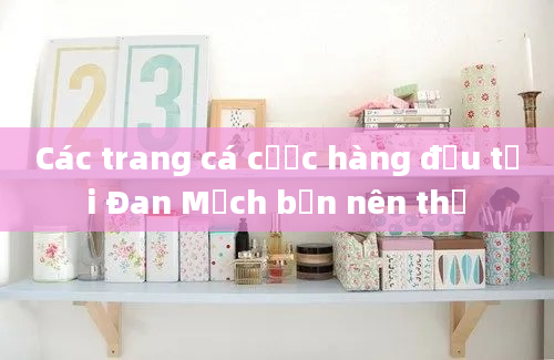 Các trang cá cược hàng đầu tại Đan Mạch bạn nên thử