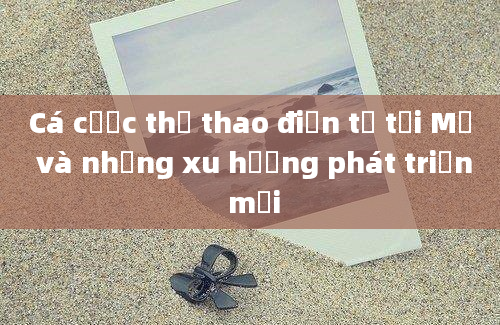 Cá cược thể thao điện tử tại Mỹ và những xu hướng phát triển mới