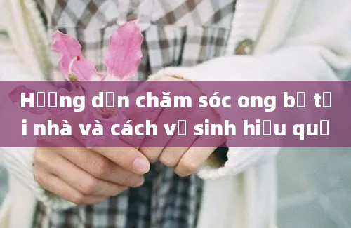 Hướng dẫn chăm sóc ong bế tại nhà và cách vệ sinh hiệu quả